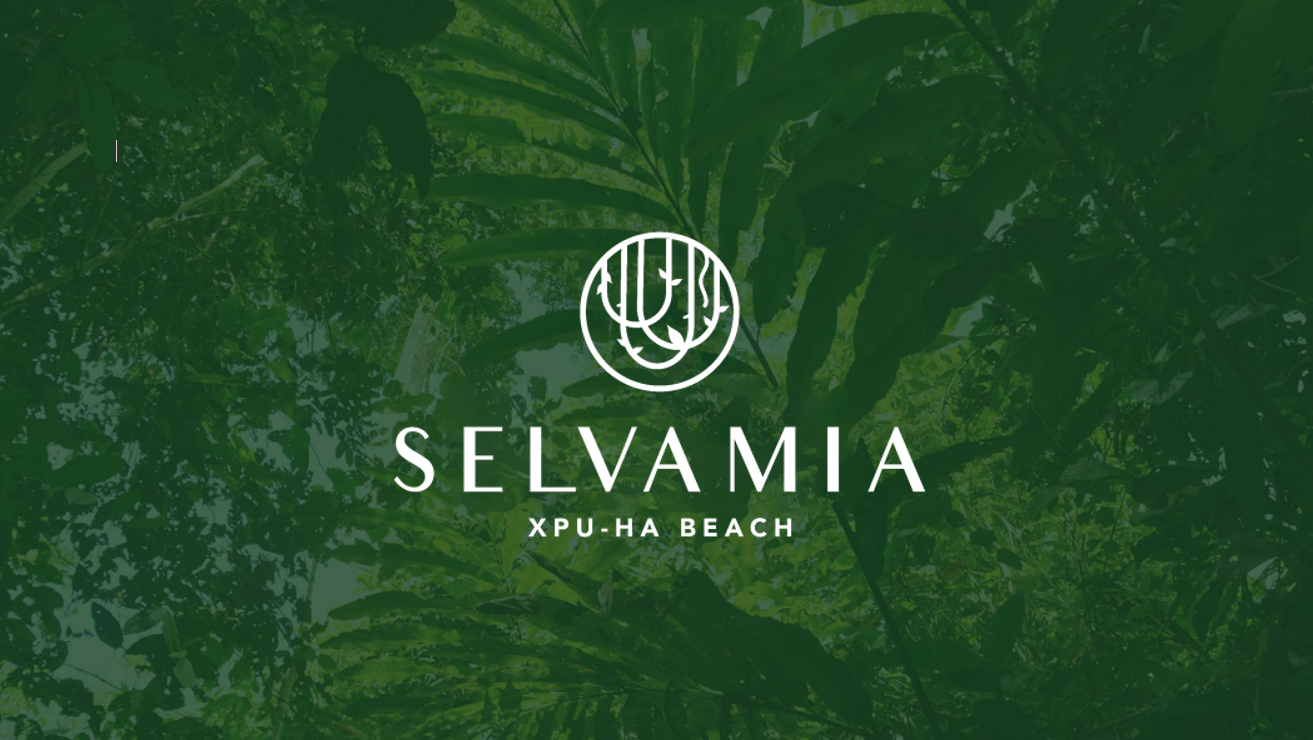 Screenshot 2025-08-28 115937