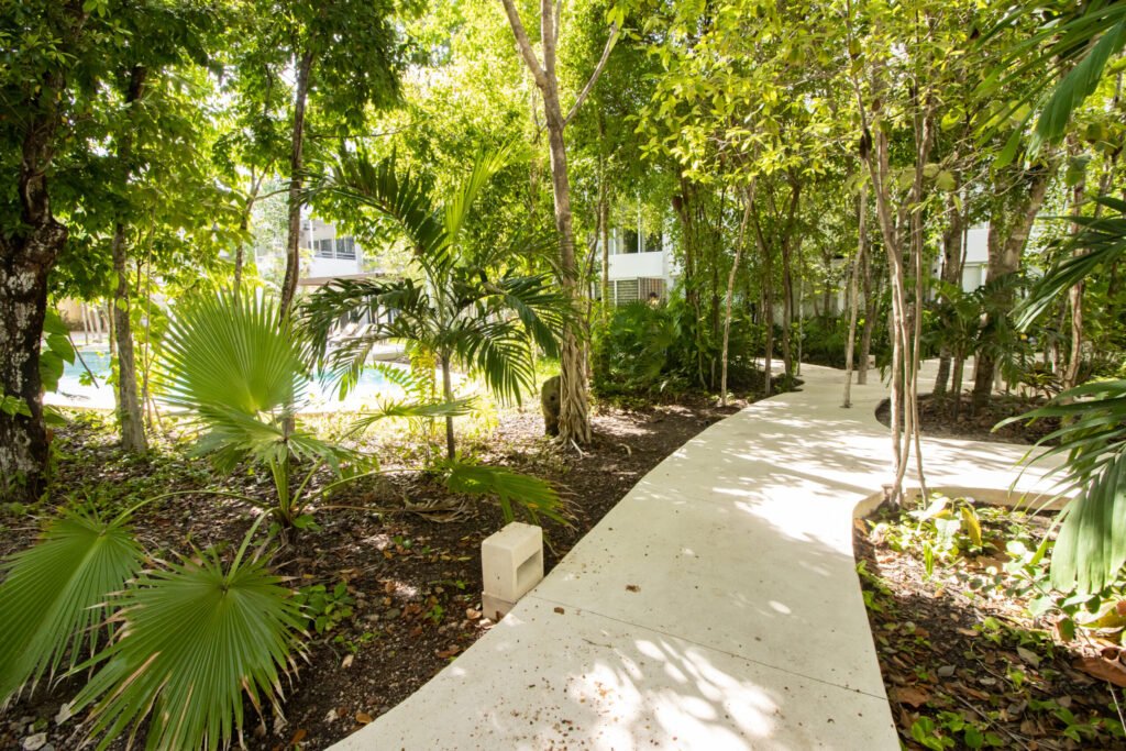 BestDeal-Tao-TULUM-8802.jpg