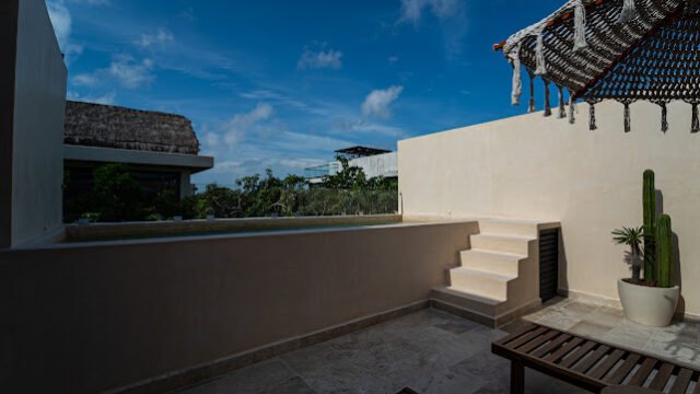 IMG_12551.jpg