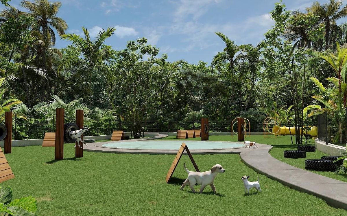 Caracol pet park with lawn and jungle