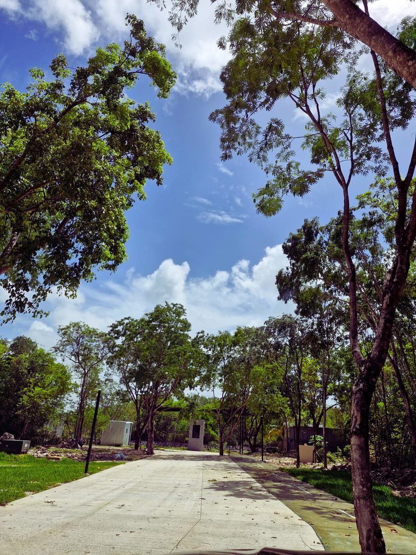 Photo of Via Arbolada's central garden and concrete street under mature trees